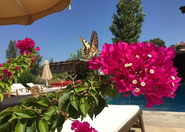 فندق Ucurtma Akcapinar (Mugla)